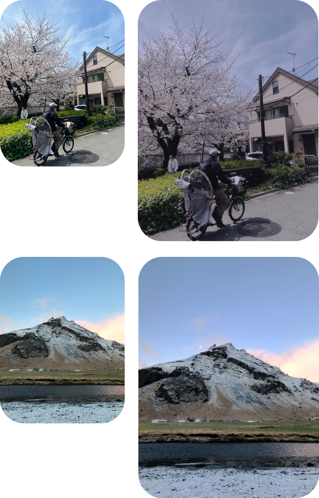 camera filter preview